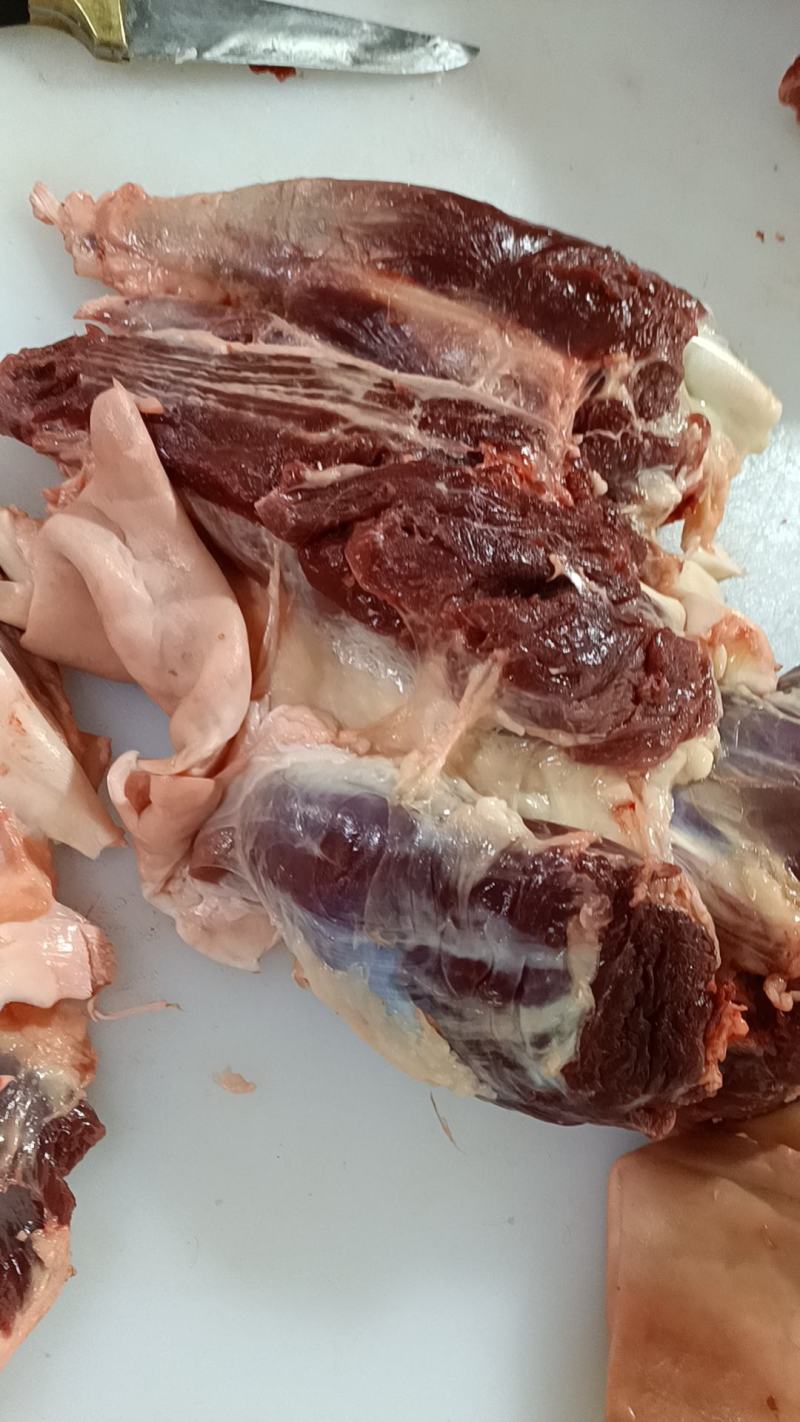 生鲜马肉，纯干马肉，现杀现宰，一手货源，厂家直销全国