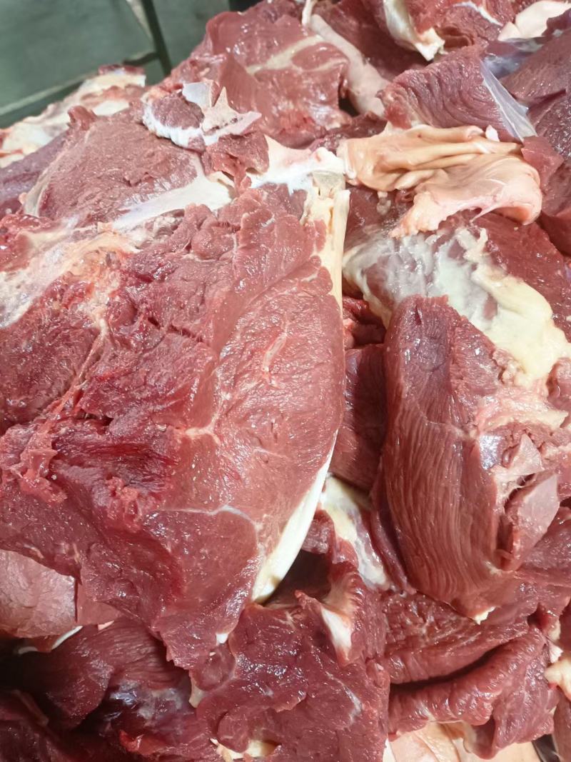生鲜马肉，纯干马肉，现杀现宰，一手货源，厂家直销全国