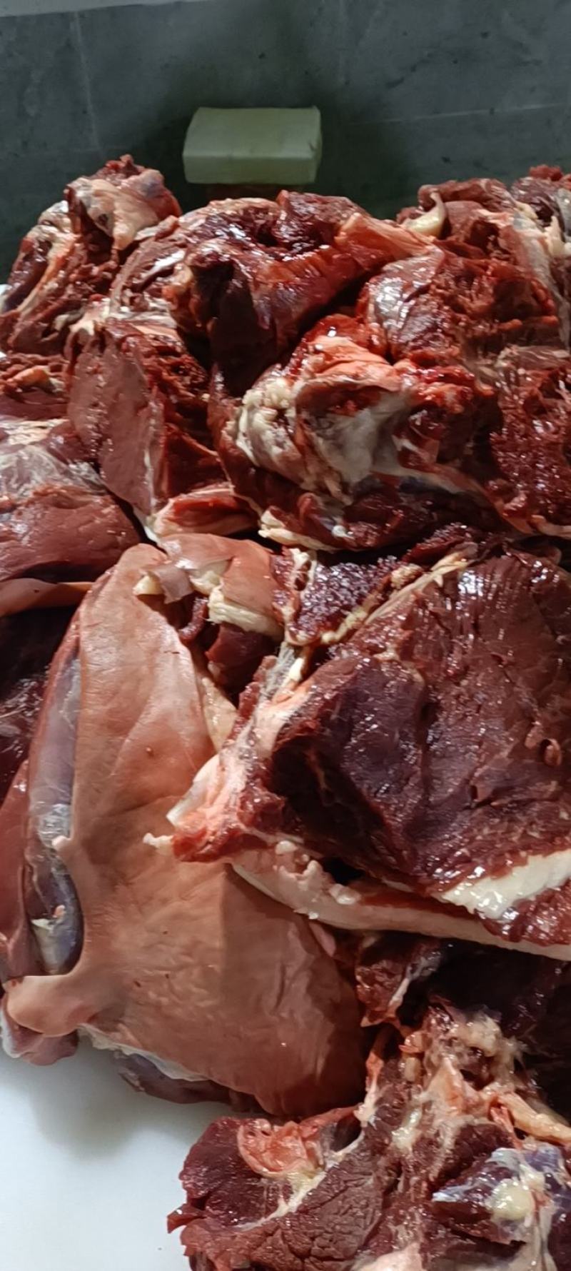 生鲜马肉，纯干马肉，现杀现宰，一手货源，厂家直销全国
