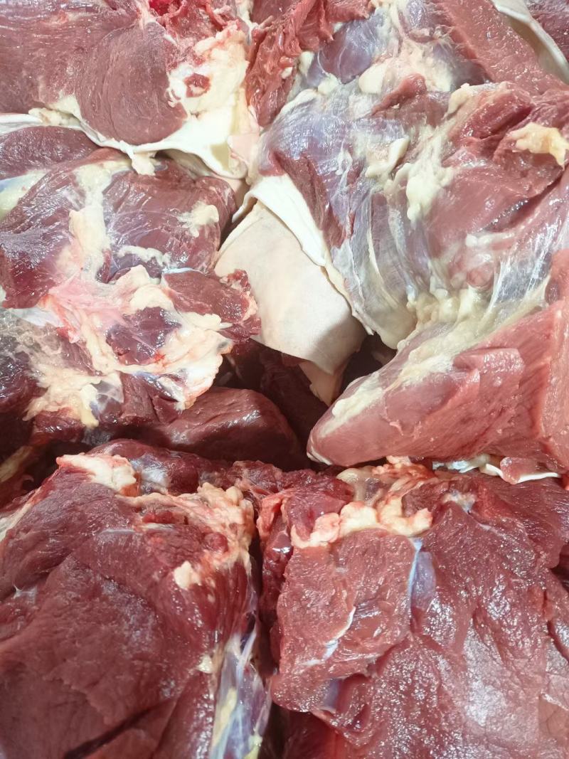 生鲜马肉，纯干马肉，现杀现宰，一手货源，厂家直销全国