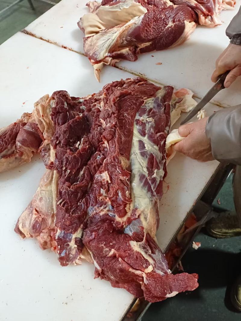 生鲜马肉，纯干马肉，现杀现宰，一手货源，厂家直销全国