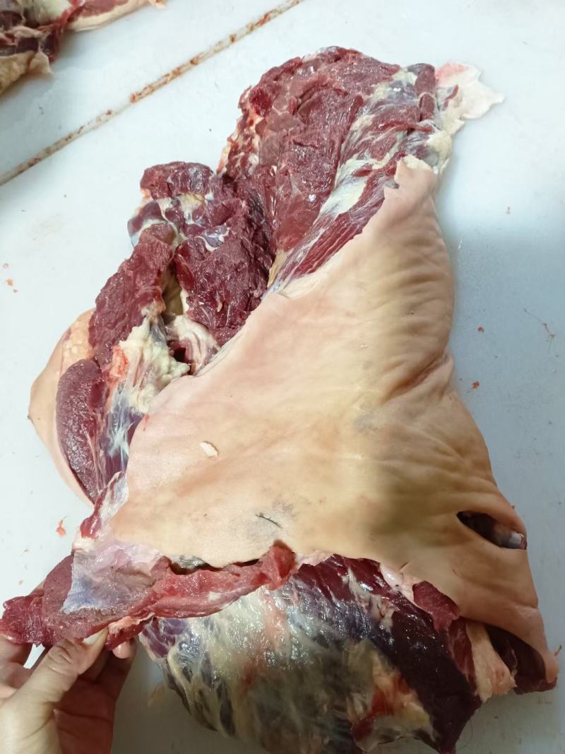 生鲜马肉，纯干马肉，现杀现宰，一手货源，厂家直销全国