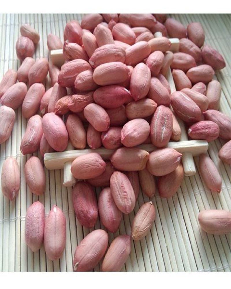 精品花生米手选果，价格美丽欢迎客户来电咨询订购