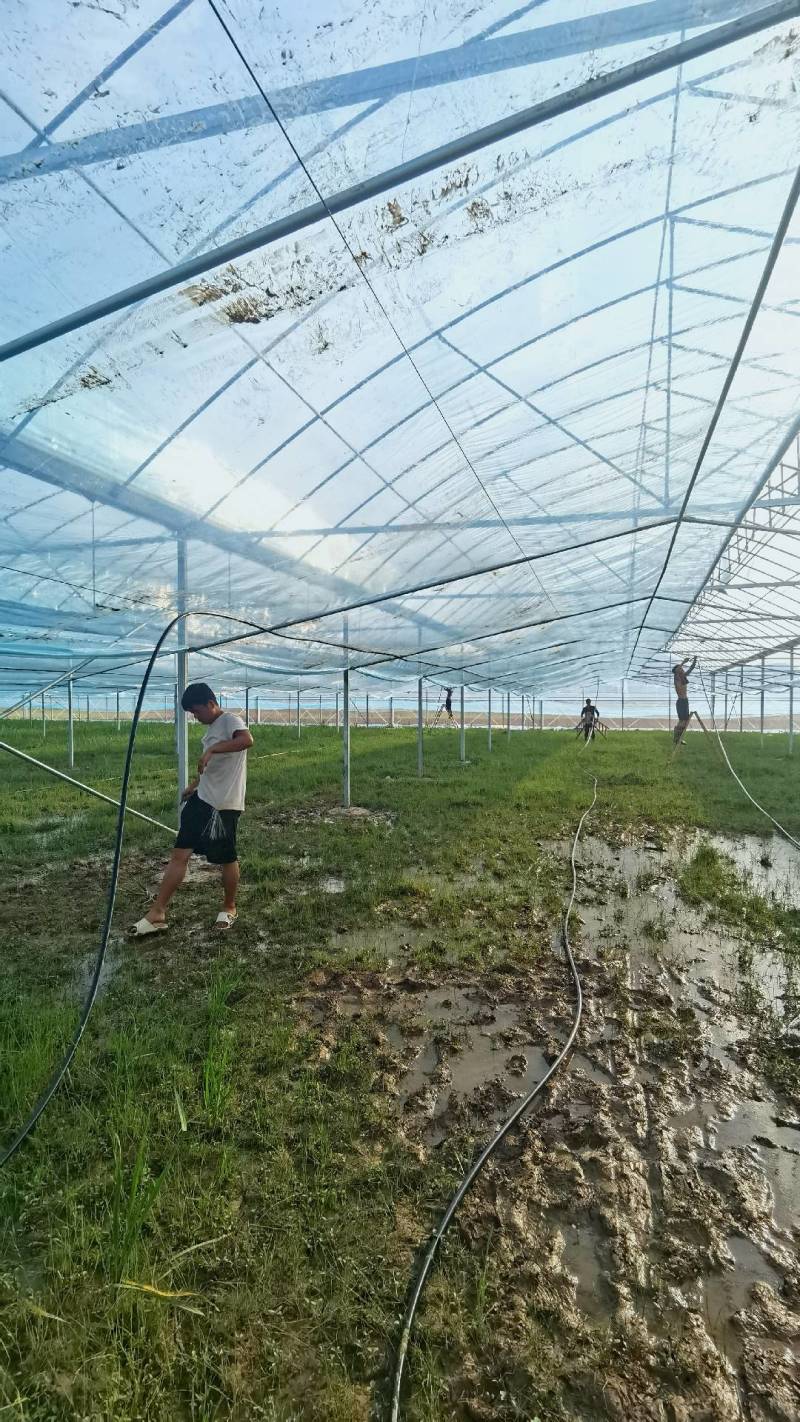 大棚倒挂微喷可定制生产折射雾化倒挂微喷