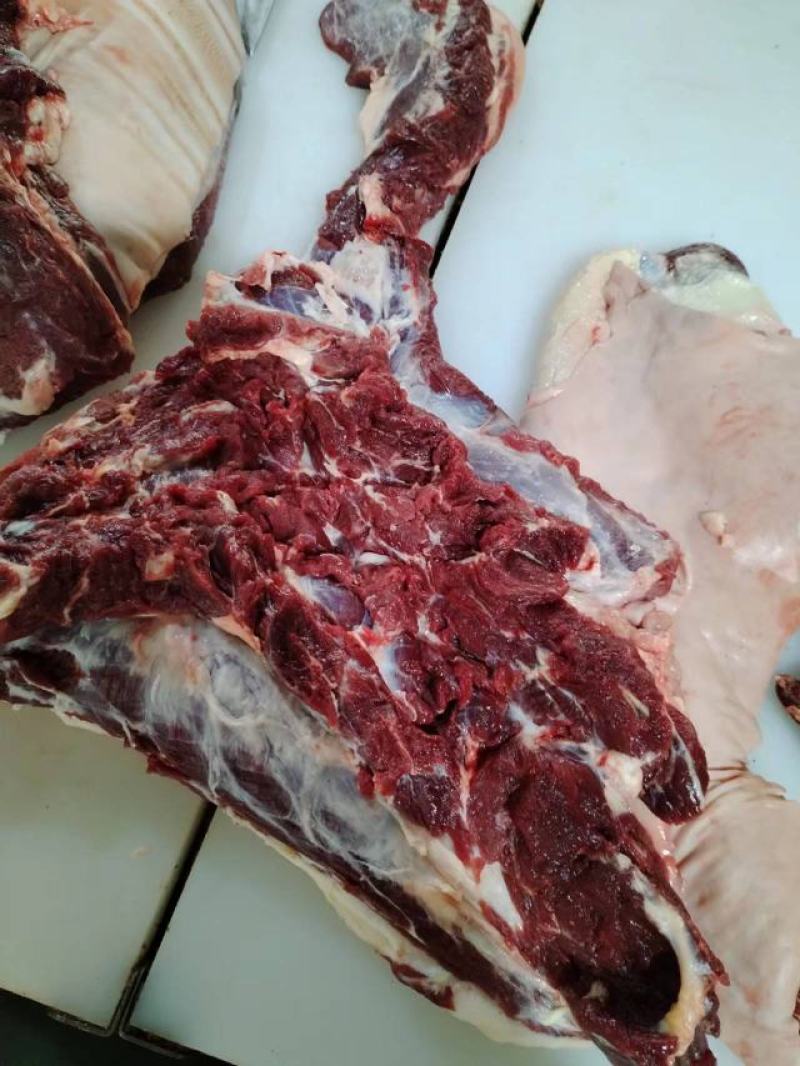 驴肉，生鲜驴肉，纯干驴肉，3肋条肉，养殖基地一手货源，带