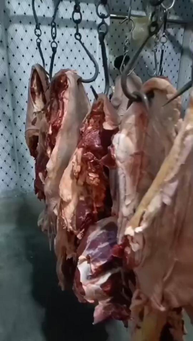 驴肉，生鲜驴肉，纯干驴肉，3肋条肉，养殖基地一手货源，带