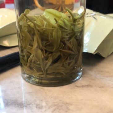 高山白茶