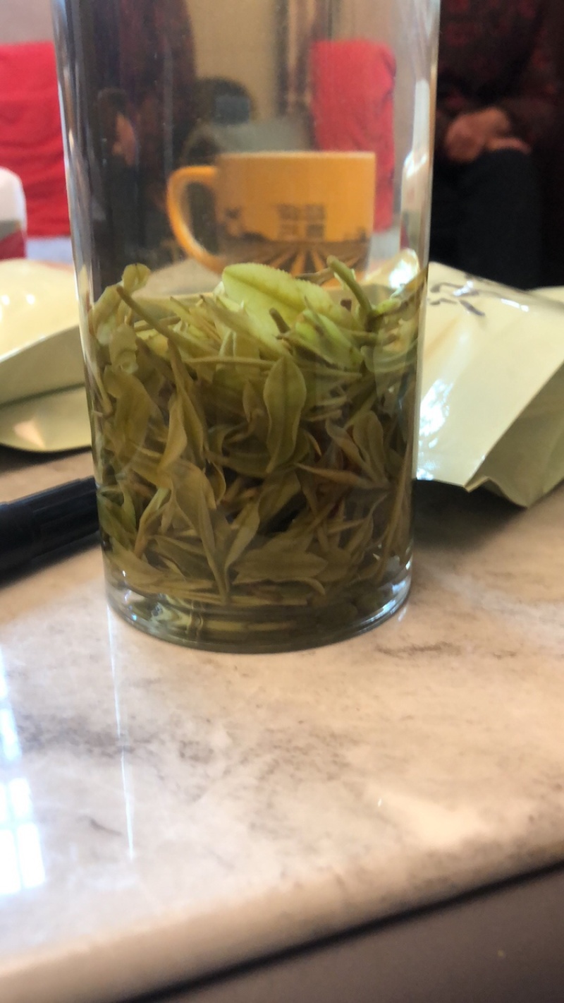 高山白茶
