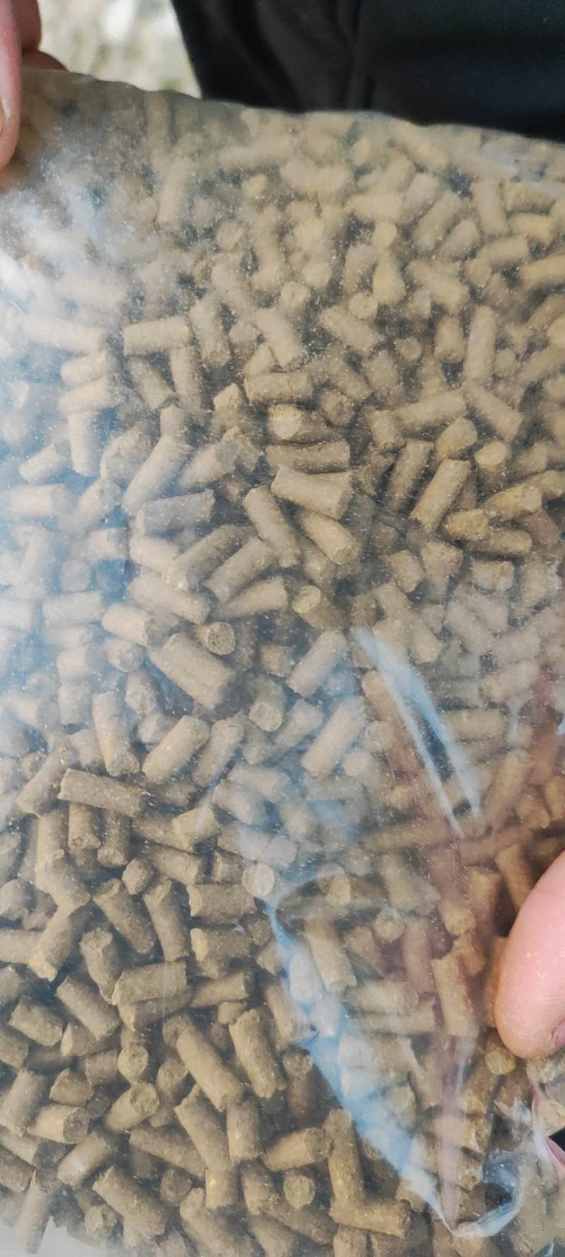 鲫鱼草鱼鲤鱼青鱼混合饲料