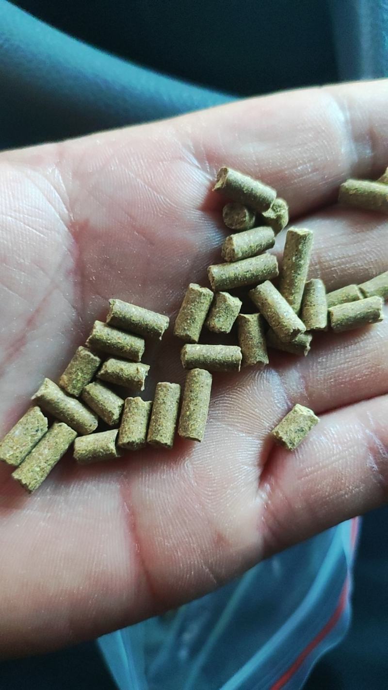 鲫鱼草鱼鲤鱼青鱼混合饲料