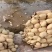 南充逢安县，遂宁良种6号，一手货源，量大从优。欢迎联系。