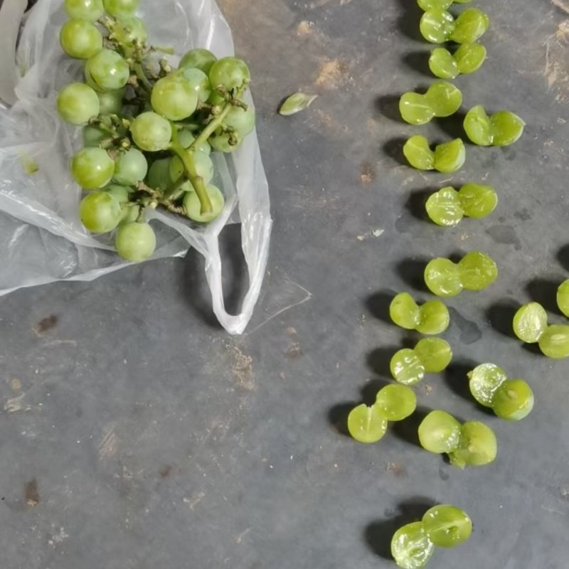 无核巨峰罐头葡萄大量有货，现在接受预定。