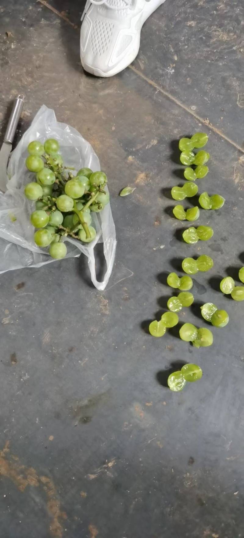 无核巨峰罐头葡萄大量有货，现在接受预定。