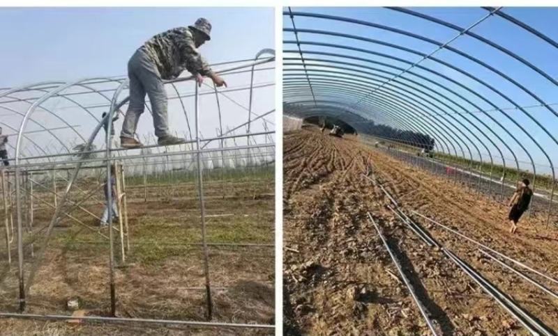 专业生产大棚管，冷棚，暖棚，智能温室棉被薄膜规格齐全