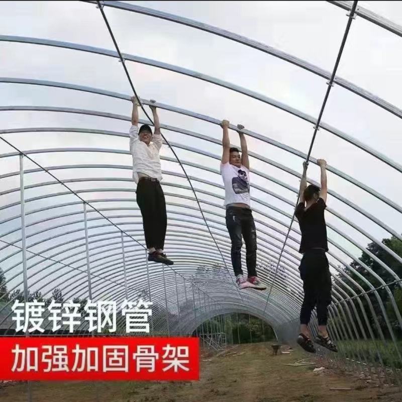 全套大棚单体棚连体棚连栋棚暖棚配件齐全欢迎选