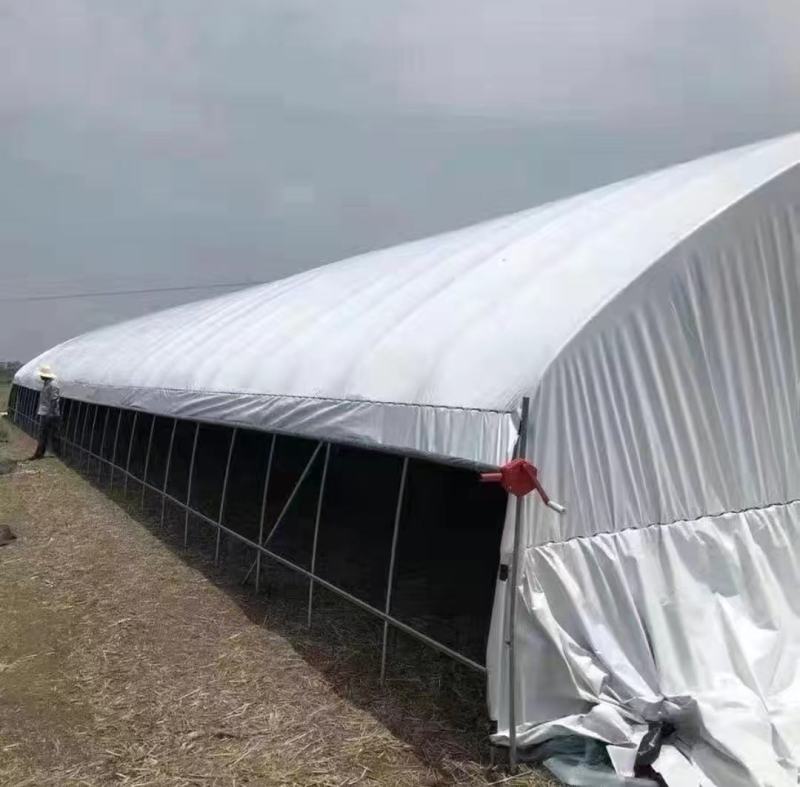 全套大棚单体棚连体棚连栋棚暖棚配件齐全欢迎选