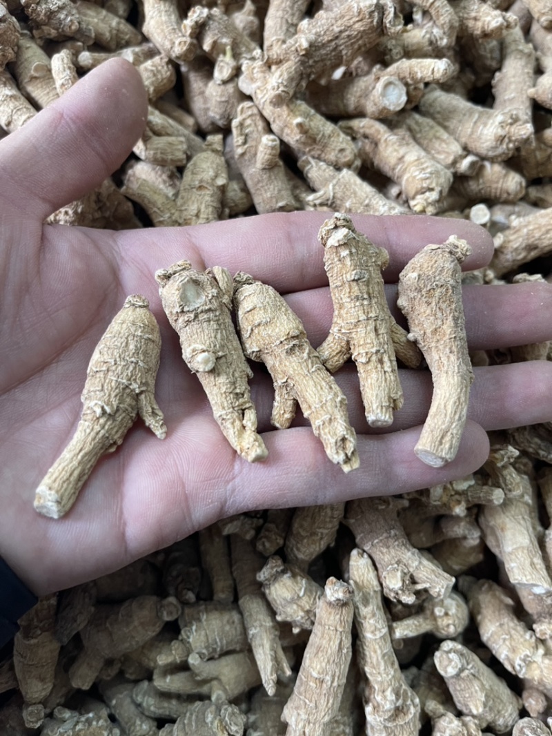 【推荐】3克加种原丛西洋参（花旗参）香味浓郁回甘，纹理清