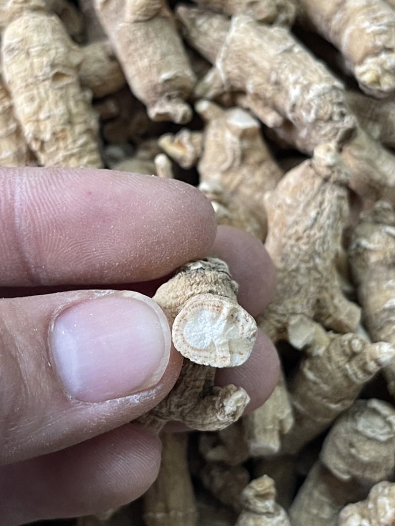 【推荐】3克加种原丛西洋参（花旗参）香味浓郁回甘，纹理清