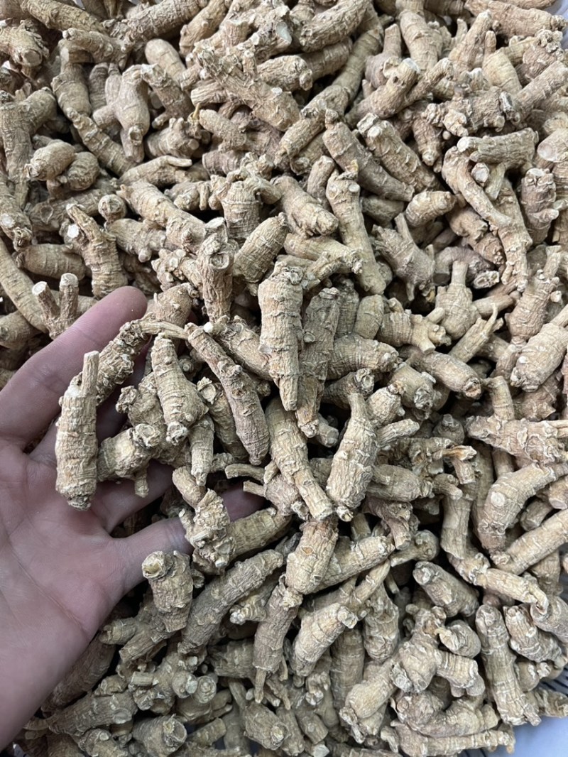 【推荐】3克加种原丛西洋参（花旗参）香味浓郁回甘，纹理清