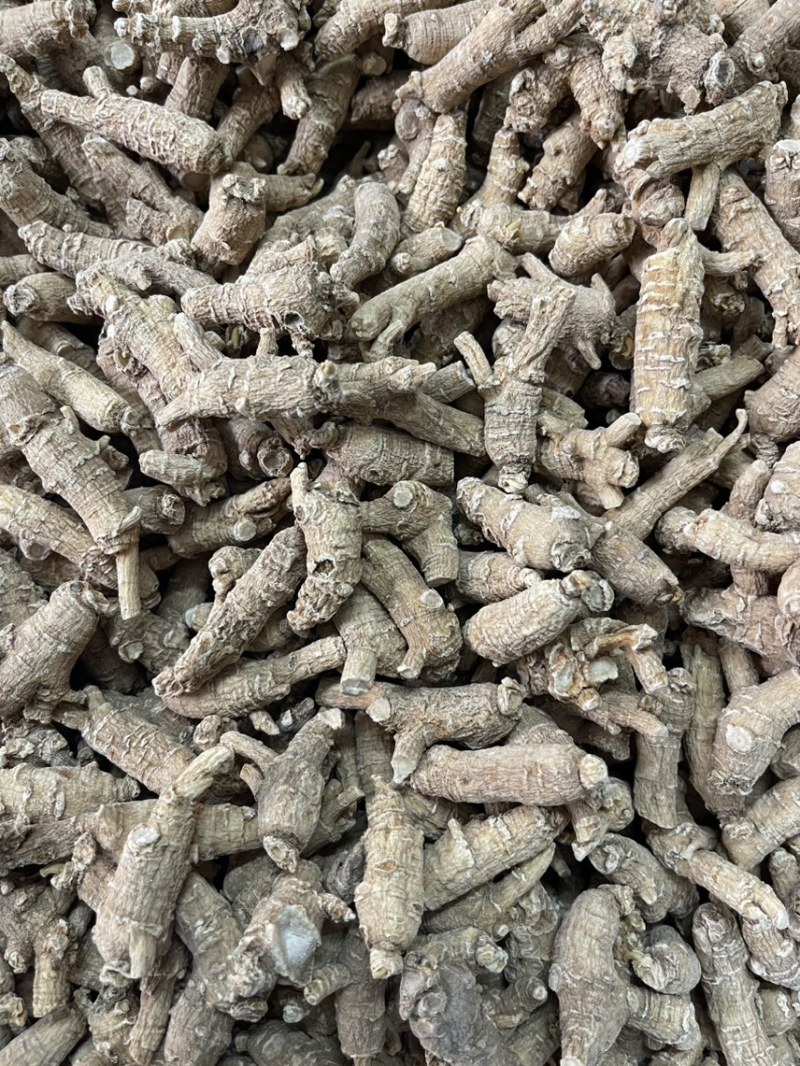 【推荐】3克加种原丛西洋参（花旗参）香味浓郁回甘，纹理清