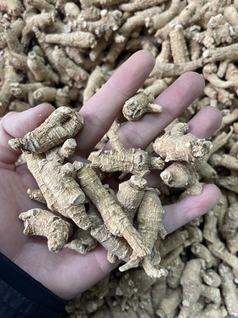 【推荐】3克加种原丛西洋参（花旗参）香味浓郁回甘，纹理清