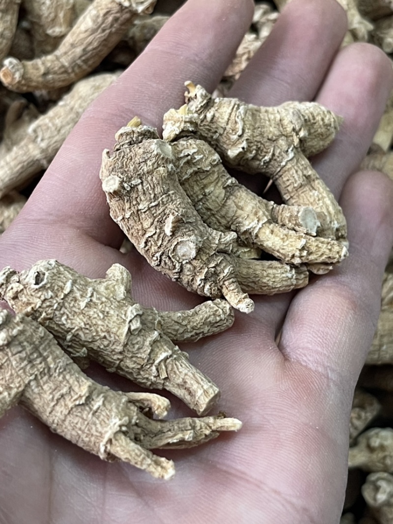 【推荐】3克加种原丛西洋参（花旗参）香味浓郁回甘，纹理清