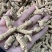 【推荐】3克加种原丛西洋参（花旗参）香味浓郁回甘，纹理清