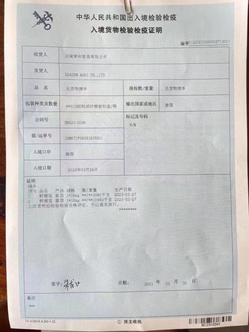 进口泰国越南金枕榴莲整车批发一件代发代理整件