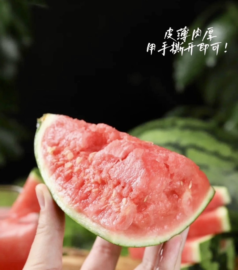 西瓜/全美2k西瓜/全美2k小吊瓜/江苏西瓜/东台西瓜