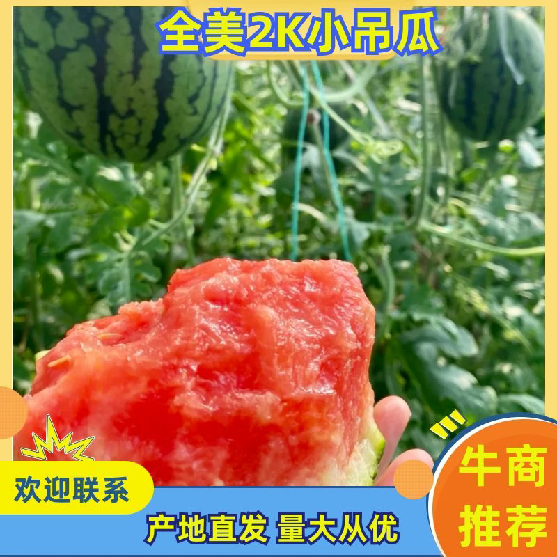 西瓜/全美2k西瓜/全美2k小吊瓜/江苏西瓜/东台西瓜