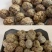 草寇中草扣草蒄卤料香辛料