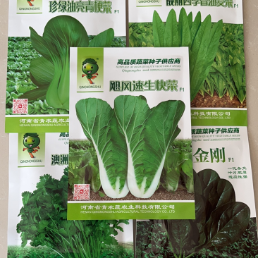 热销蔬菜种子杂交快菜菠菜油麦菜青梗菜种子品质好口感更好