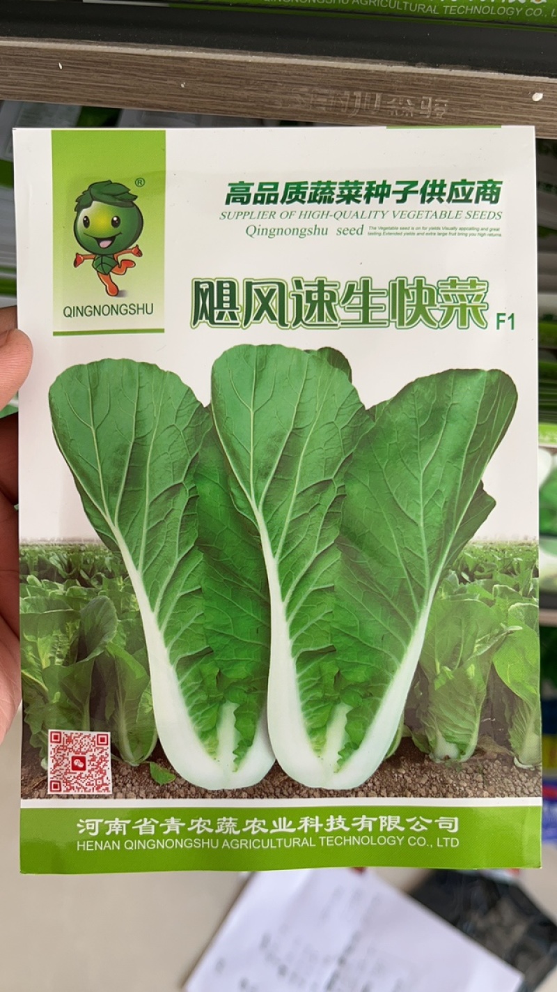 热销蔬菜种子杂交快菜菠菜油麦菜青梗菜种子品质好口感更好