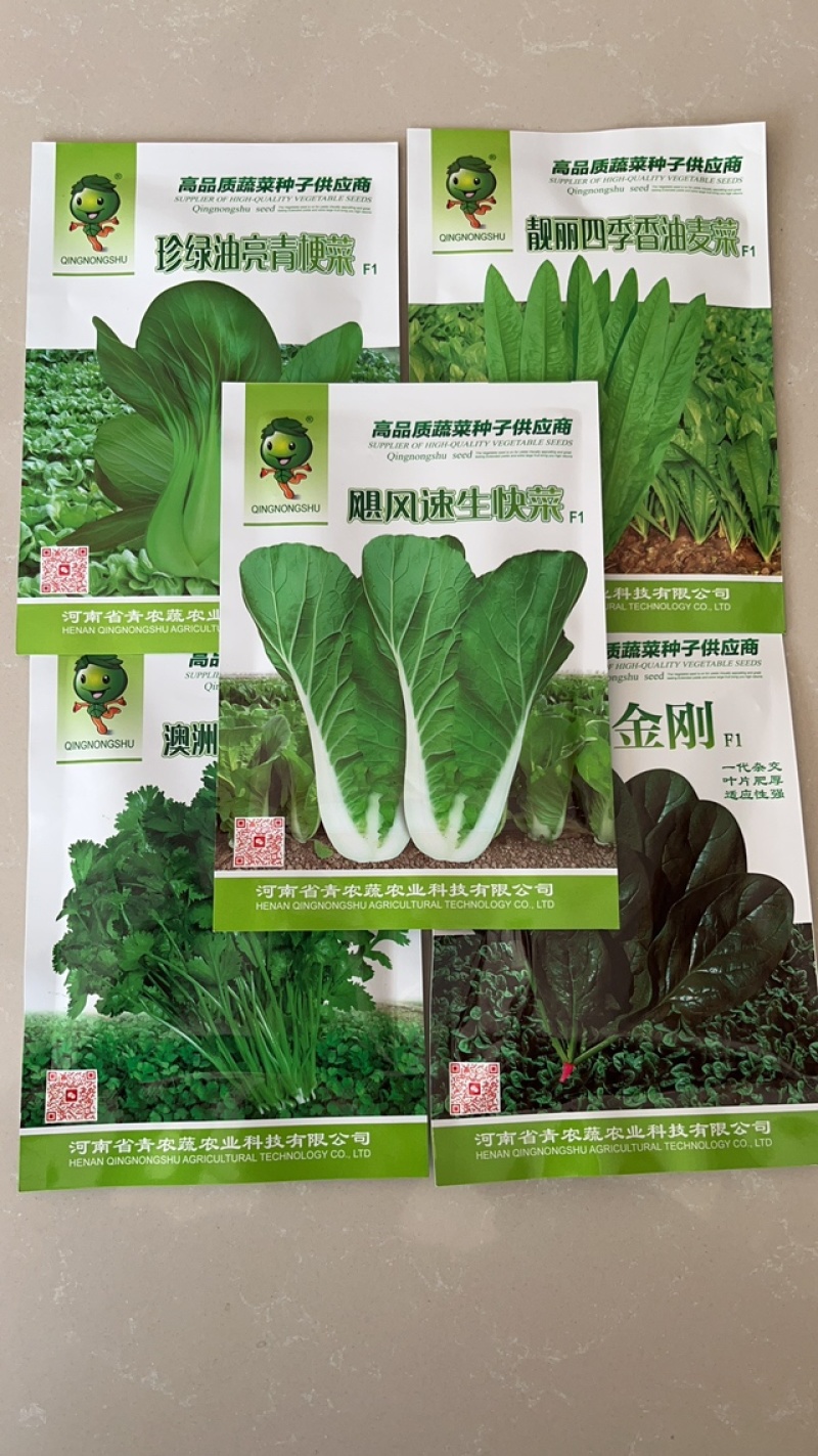 热销蔬菜种子杂交快菜菠菜油麦菜青梗菜种子品质好口感更好