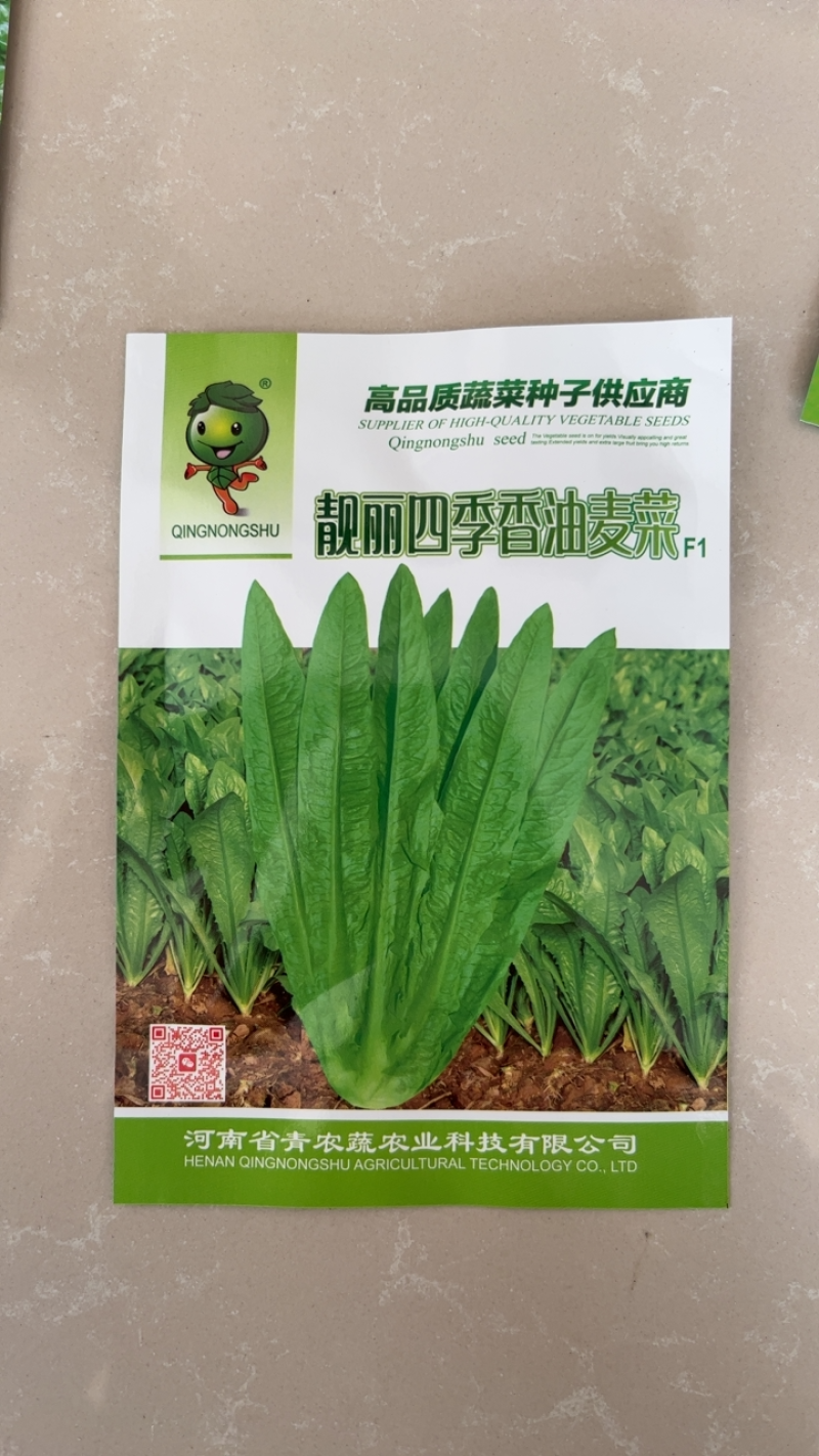 热销蔬菜种子杂交快菜菠菜油麦菜青梗菜种子品质好口感更好