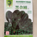 热销蔬菜种子杂交快菜菠菜油麦菜青梗菜种子品质好口感更好