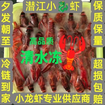 清水冻虾,小龙虾,清水小龙虾,液氮清水冻虾,肉质Q弹