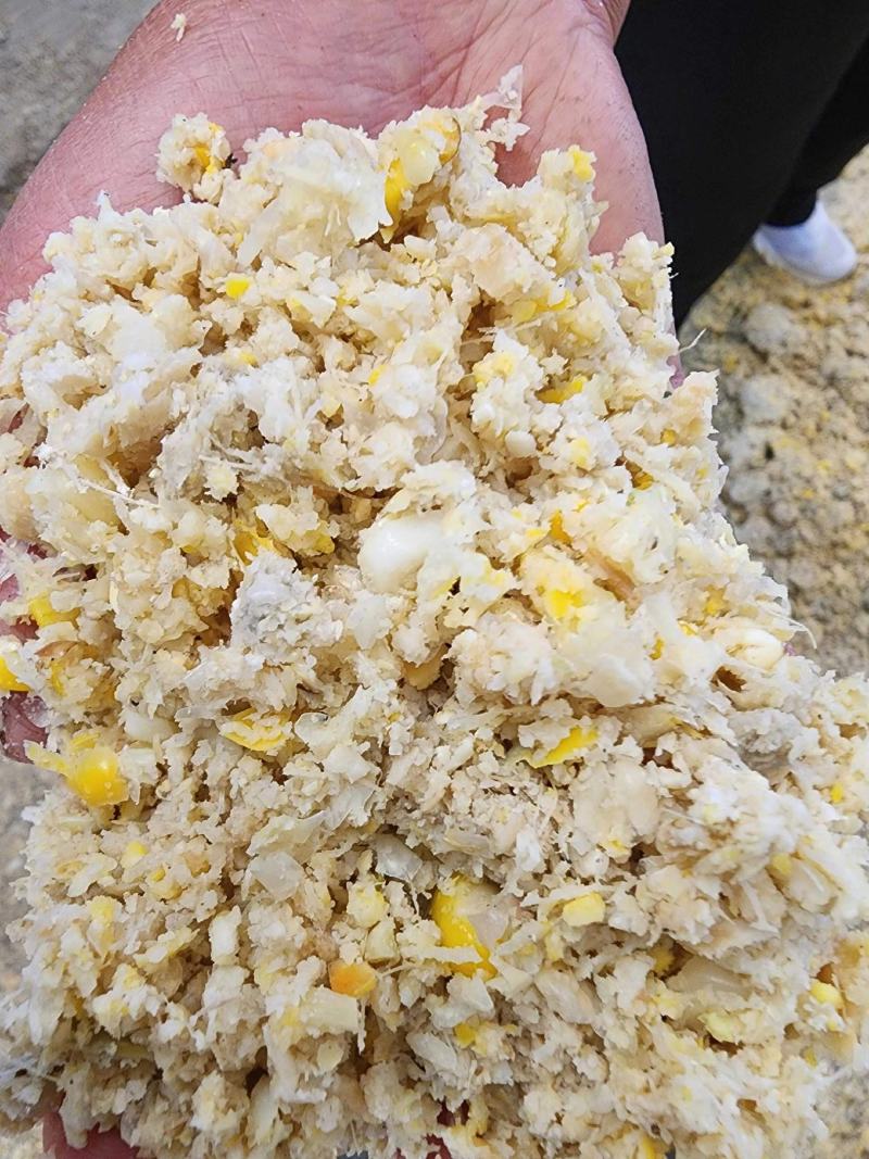 熟化玉米渣玉米渣适用于猪牛羊鸡鸭鹅