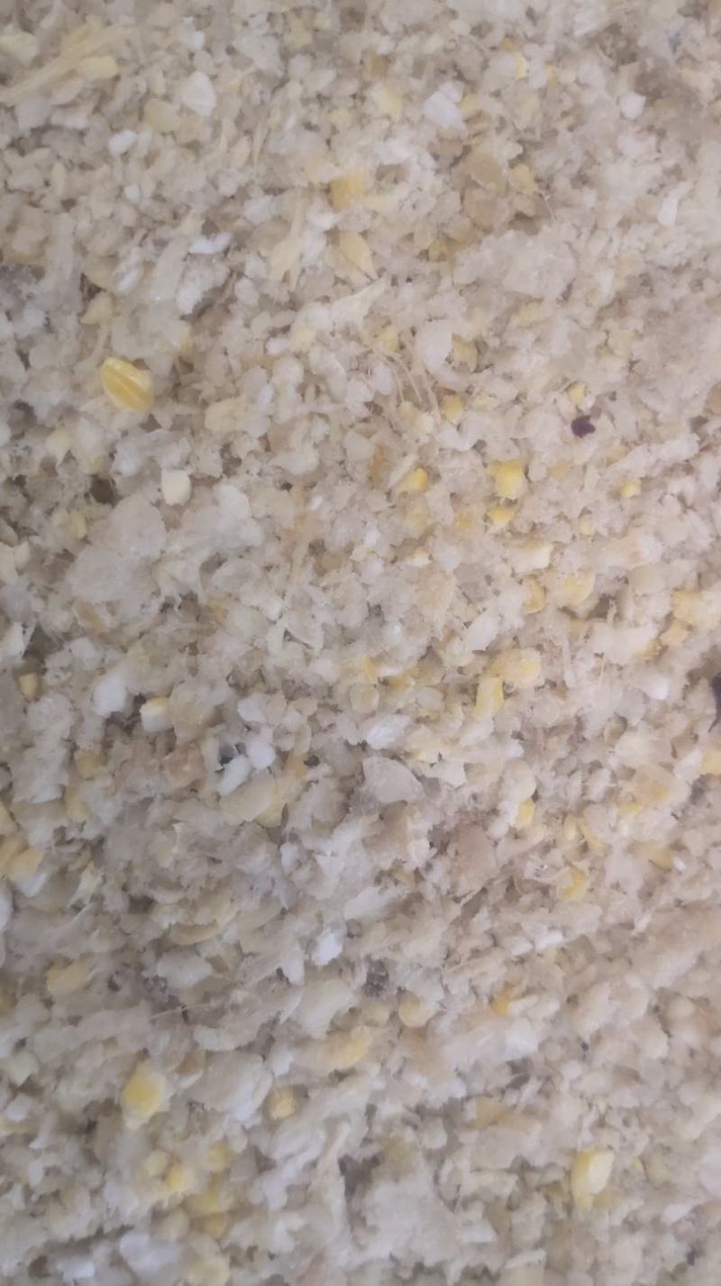 熟化玉米渣玉米渣适用于猪牛羊鸡鸭鹅