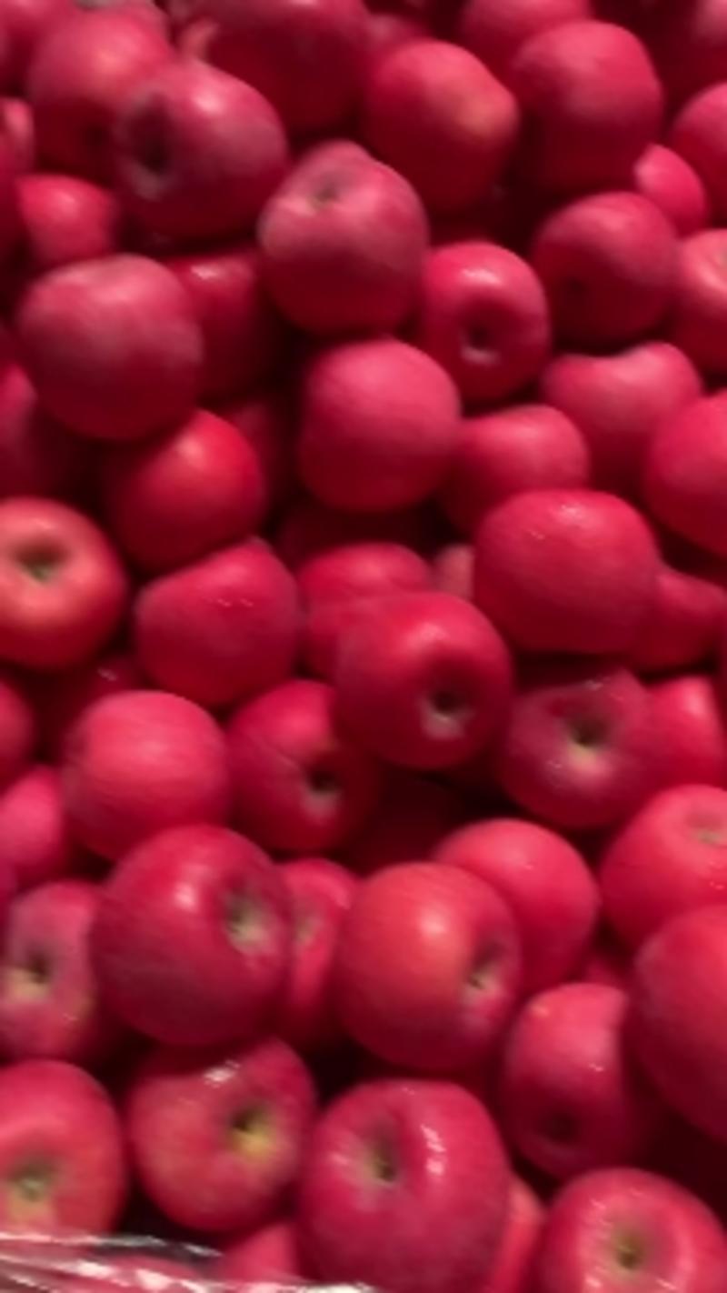红富士苹果自有冷库红富士全年供货品质保证