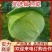 【优选】湖北扁包菜产地直发，奥其娜，大量有货，保质保量。