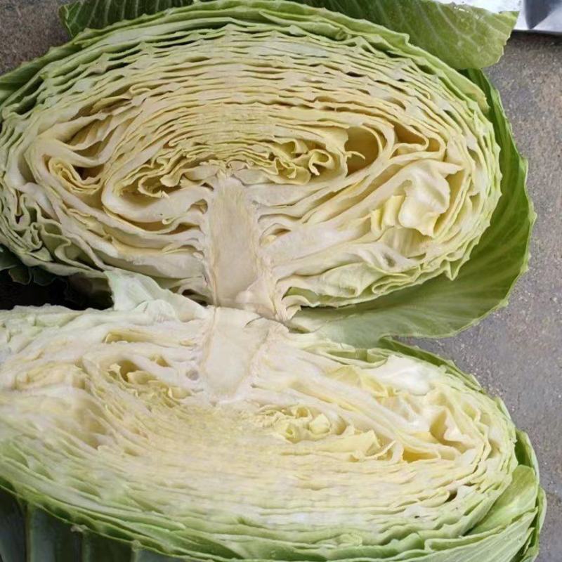 【优选】湖北扁包菜产地直发，奥其娜，大量有货，保质保量。