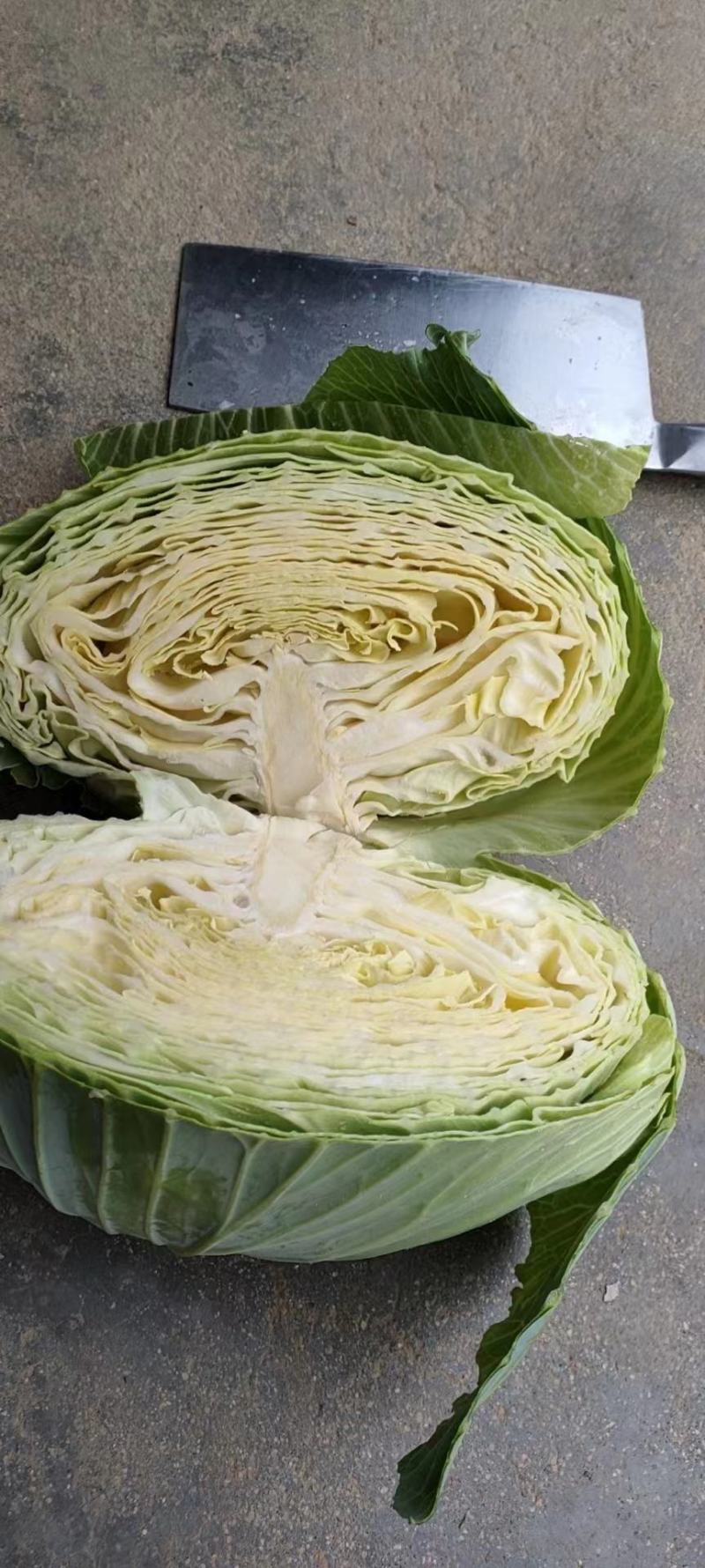 【优选】湖北扁包菜产地直发，奥其娜，大量有货，保质保量。