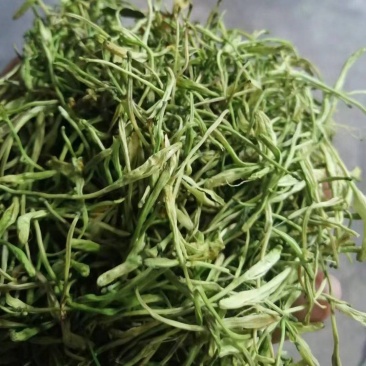 山银花