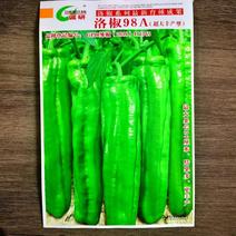 诚研洛椒98A超大丰产型1000粒薄皮牛角椒菜椒辣椒种子