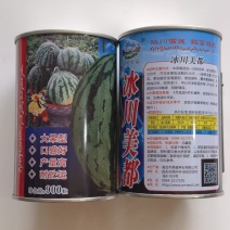 冰川美都西瓜种子大果型中早熟一代杂交条纹圆球西瓜种籽芽