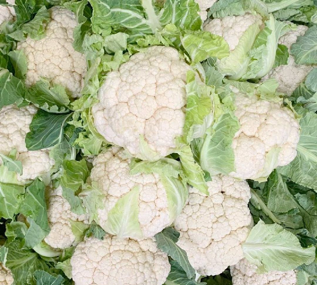 新鲜的白菜花,洁白紧实,表面带有细密的花蕾结构 白菜花特写