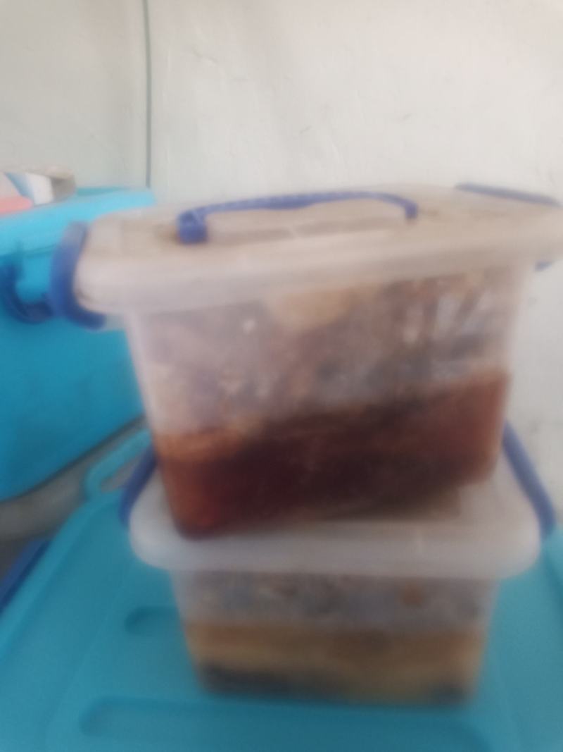 淮河源桐柏山野蜂蜜