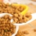 狗粮猫粮宠物食品生产厂家诚信经营保证质量全国招商一件代发