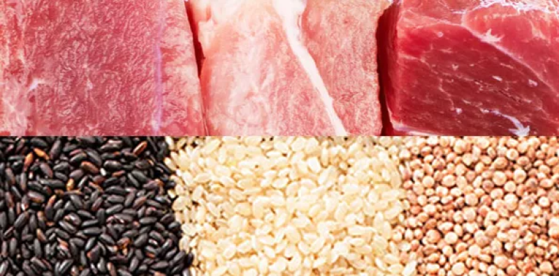 狗粮猫粮宠物食品生产厂家诚信经营保证质量全国招商一件代发
